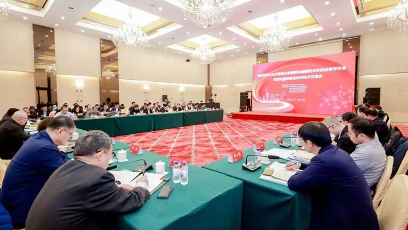 国创会学术委员会委员李灿团队“硫化氢全分解制氢和硫磺”技术通过科技成果评价