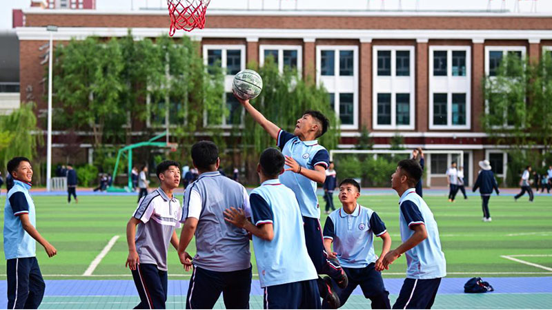 800_0000_微信图片_2026-05-14_173510_489.jpg